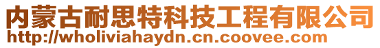 内蒙古耐思特科技工程有限公司