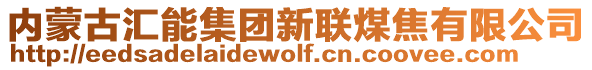 内蒙古汇能集团新联煤焦有限公司