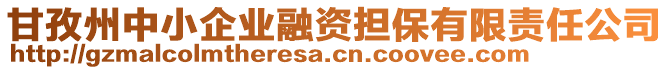 甘孜州中小企业融资担保有限责任公司