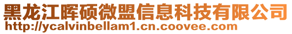 黑龙江晖硕微盟信息科技有限公司