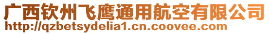 广西钦州飞鹰通用航空有限公司