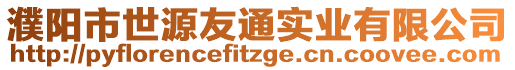 濮阳市世源友通实业有限公司