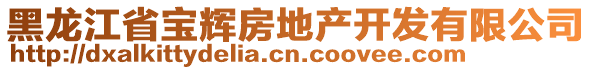 黑龍江省寶輝房地產開發有限公司