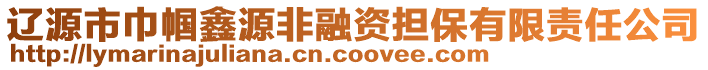 辽源市巾帼鑫源非融资担保有限责任公司