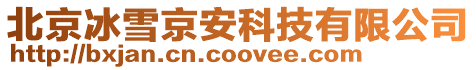 北京冰雪京安科技有限公司