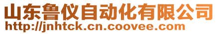 山東魯儀自動化有限公司