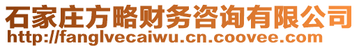 石家庄方略财务咨询有限公司