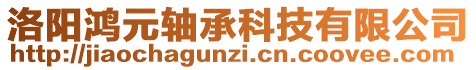 洛阳鸿元轴承科技有限公司